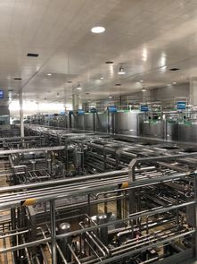 蒙牛工廠迎全球GDP代表參觀，以企業(yè)智慧夯實合作共贏之基